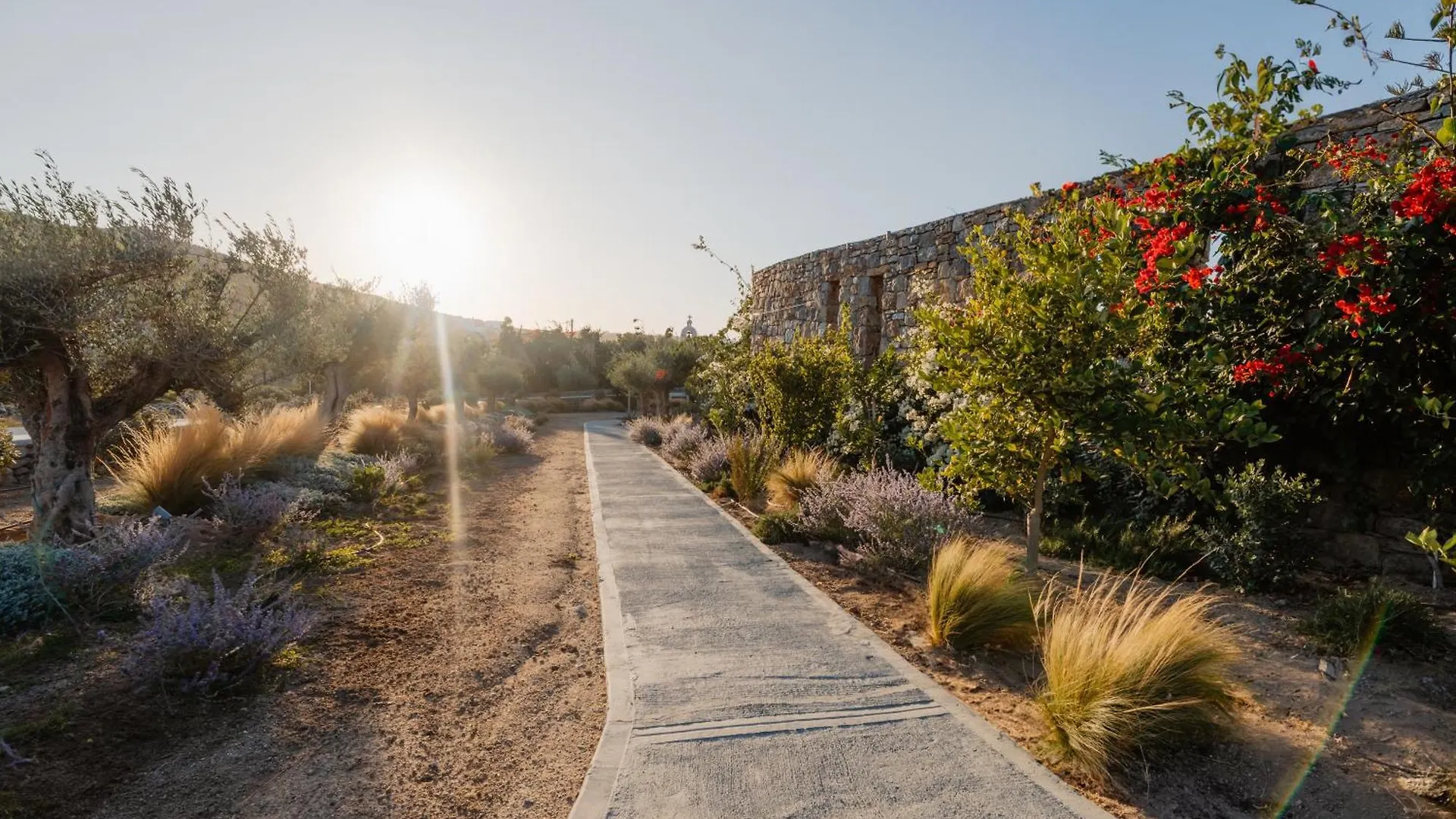 Oliving Mykonos Luxury Suites 克洛瓦斯